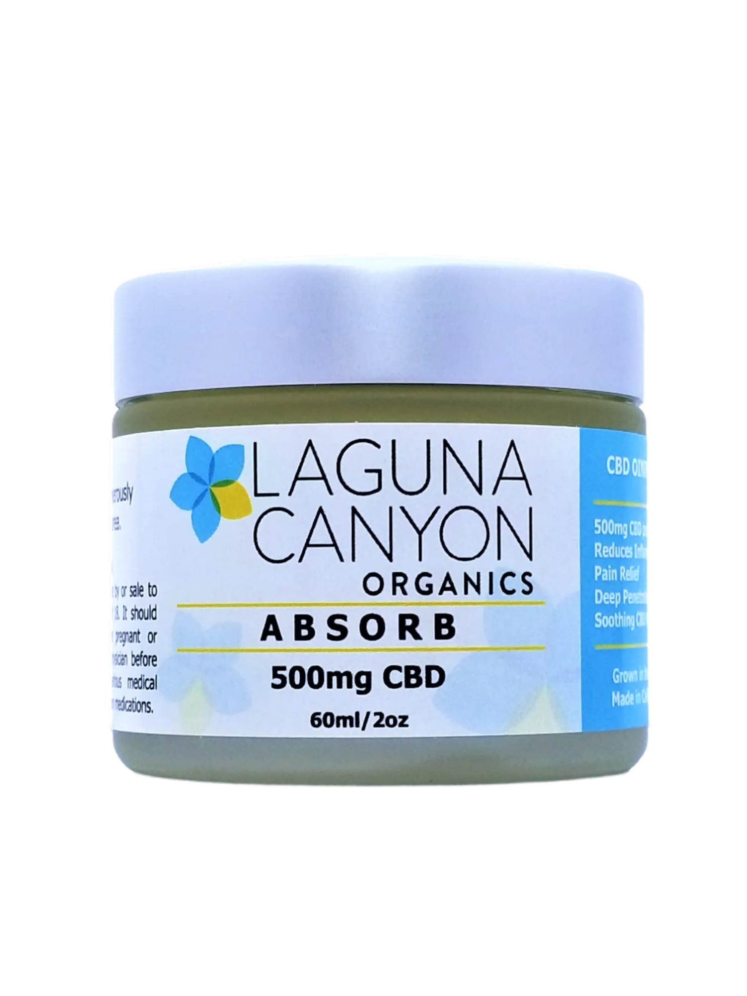 ABSORB - 500mg CBD Oil Topical Ointment