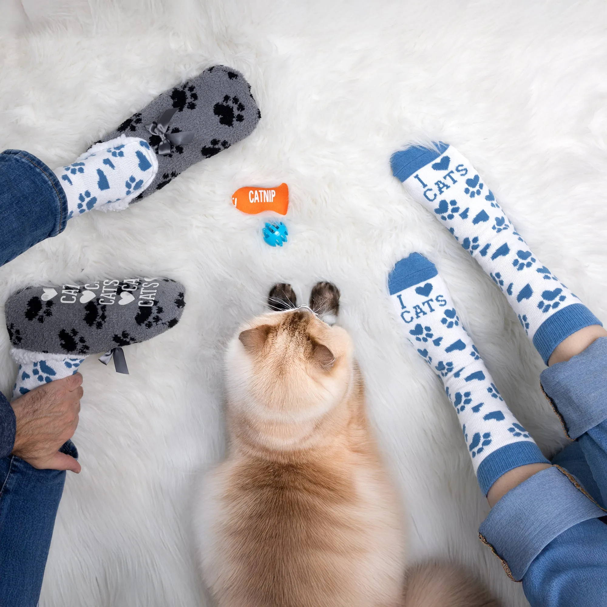 Cats Slipper Sock Gift Set