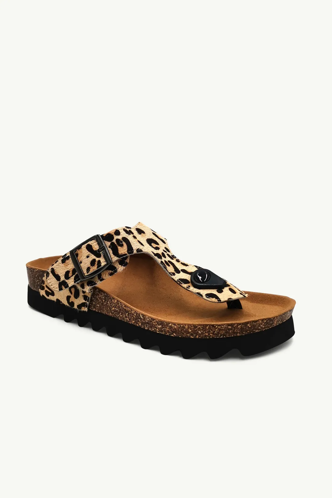 Jason Leopard