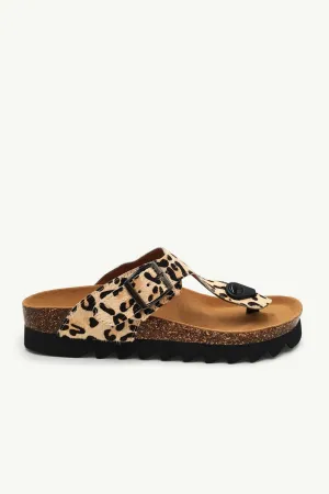Jason Leopard