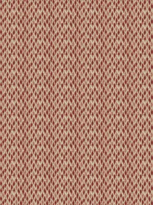 Ludhiana flame - Ribbon