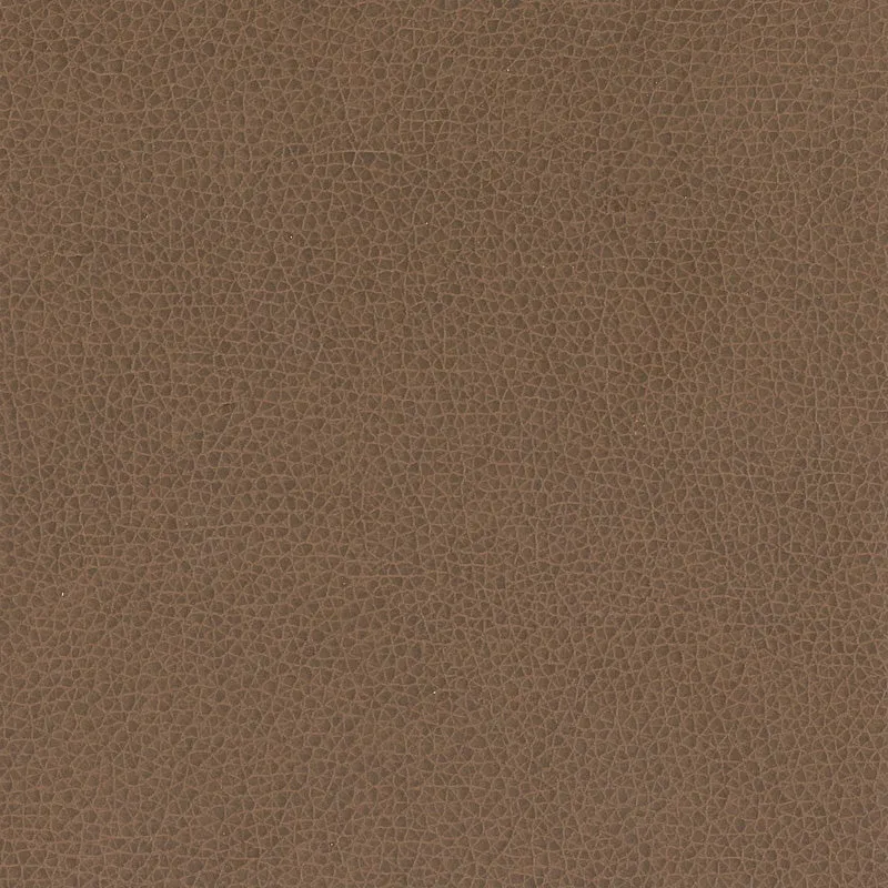 Nemo-Cocoa