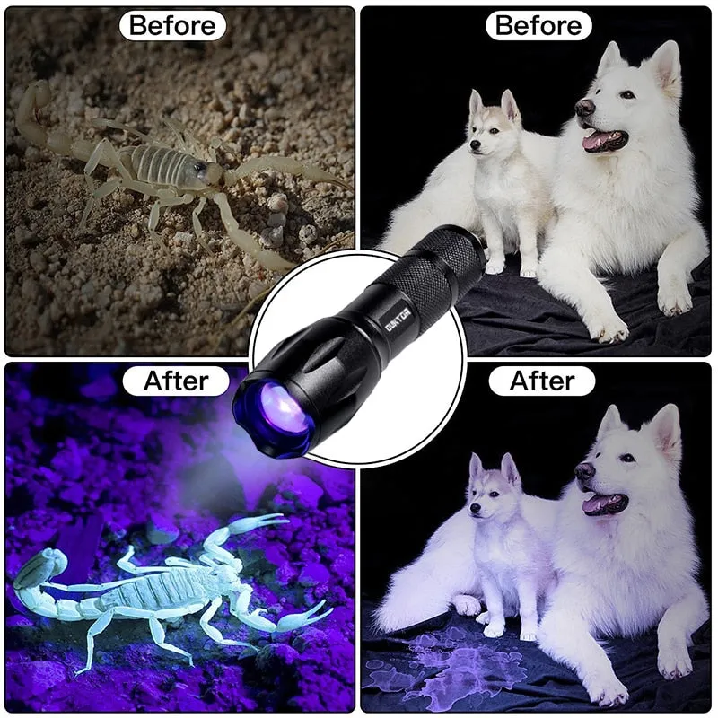 Waterproof 365 nm UV Led Flashlight Ultraviolet Zoomable Torch Lamp for Pet Urine Bugs and Stains Detection